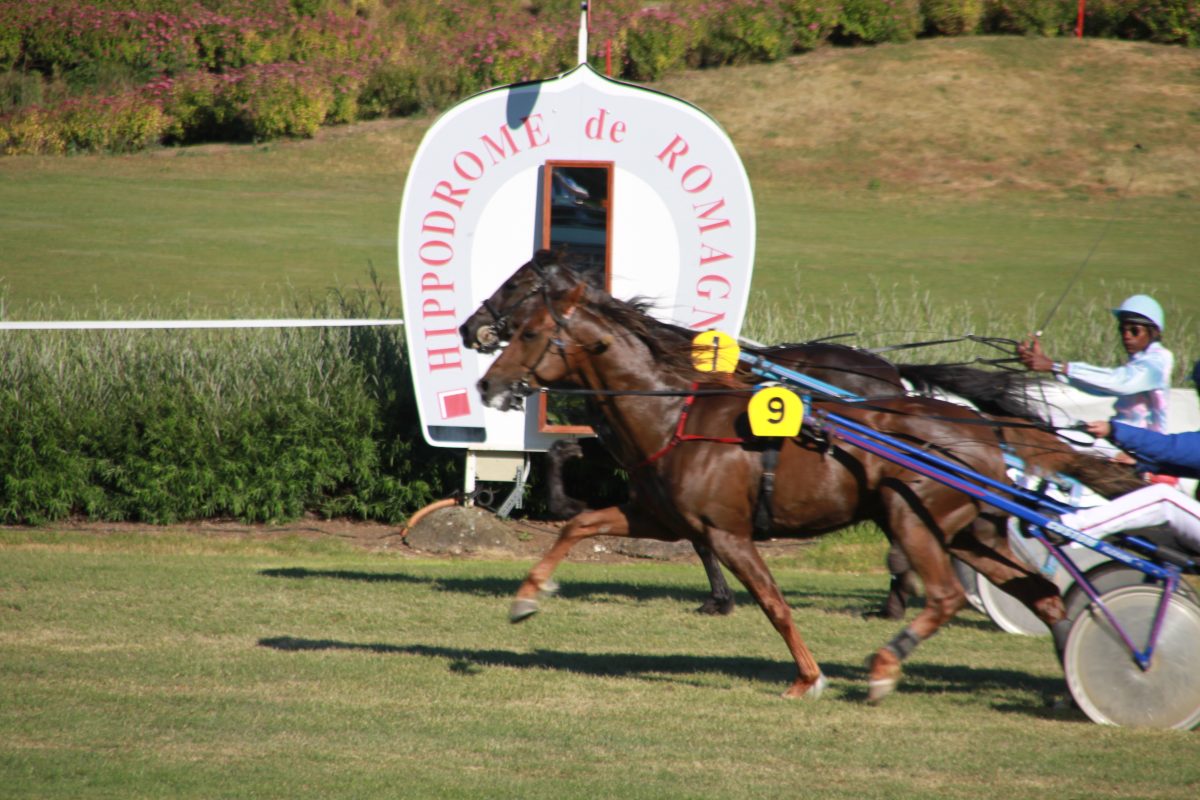 Société des courses de Niort - Hippodrome de Romagné