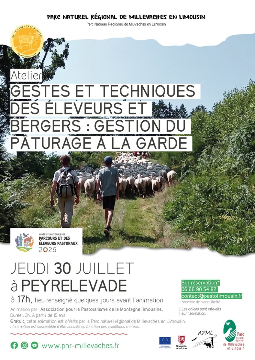 Gestes et techniques des éleveurs et bergers : gestion du pâturage à la garde