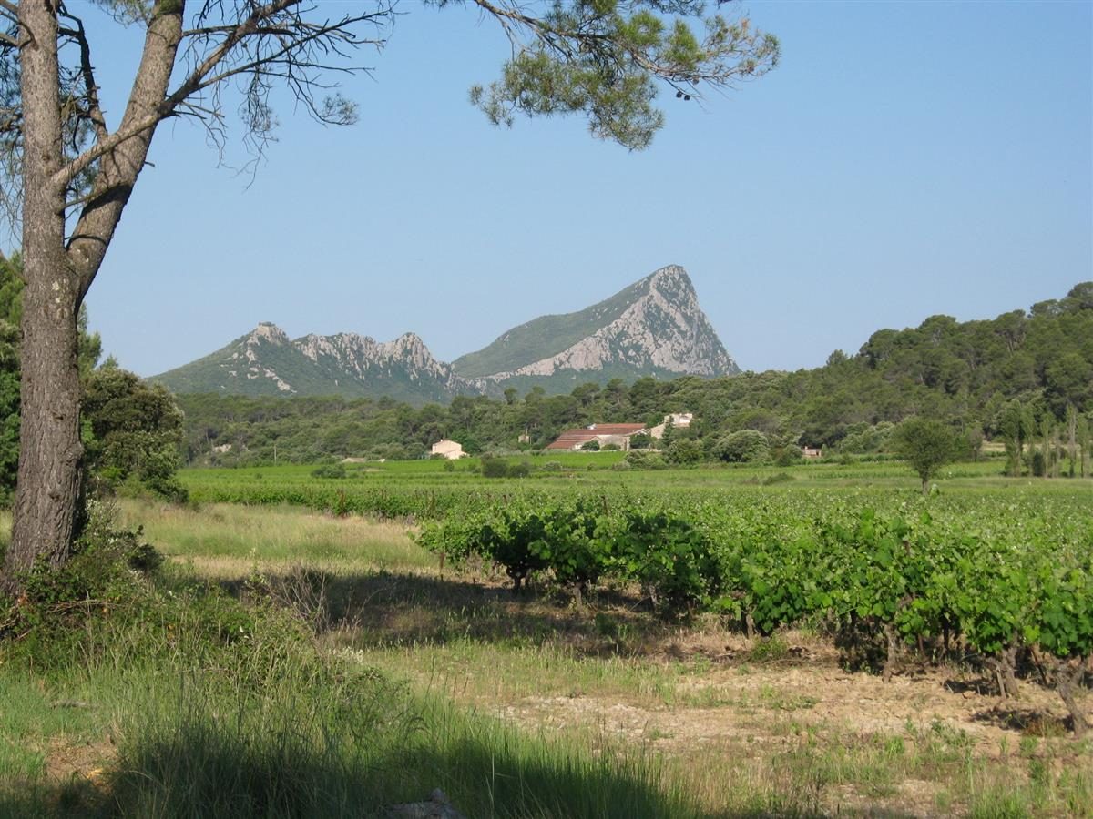 Château des Mouchères