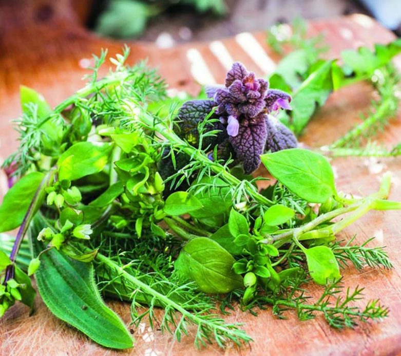 Atelier de transformation de plantes