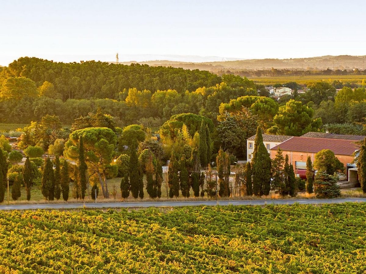 DOMAINE DE L'HERBE SAINTE