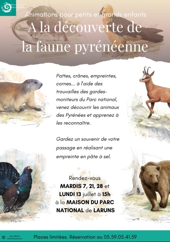 A la découverte de la faune pyrénéenne