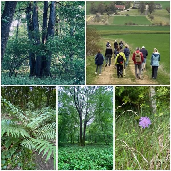 Randonnée à la découverte du patrimoine paysager et forestier - JEP 2026