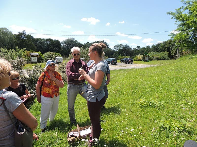 Sortie nature : Le végétal et ses usages