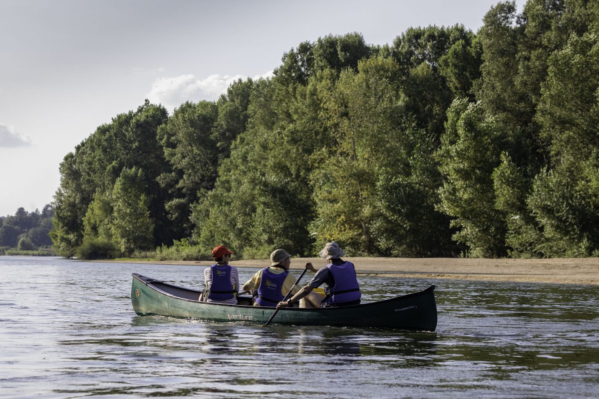 Sur les traces du castor et des oiseaux de la Loire en canoë