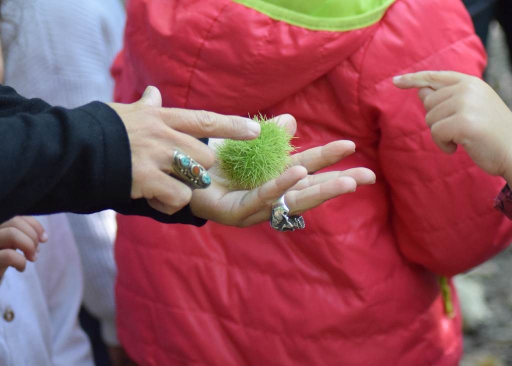 La magie des plantes : se préparer à l'hiver en douceur