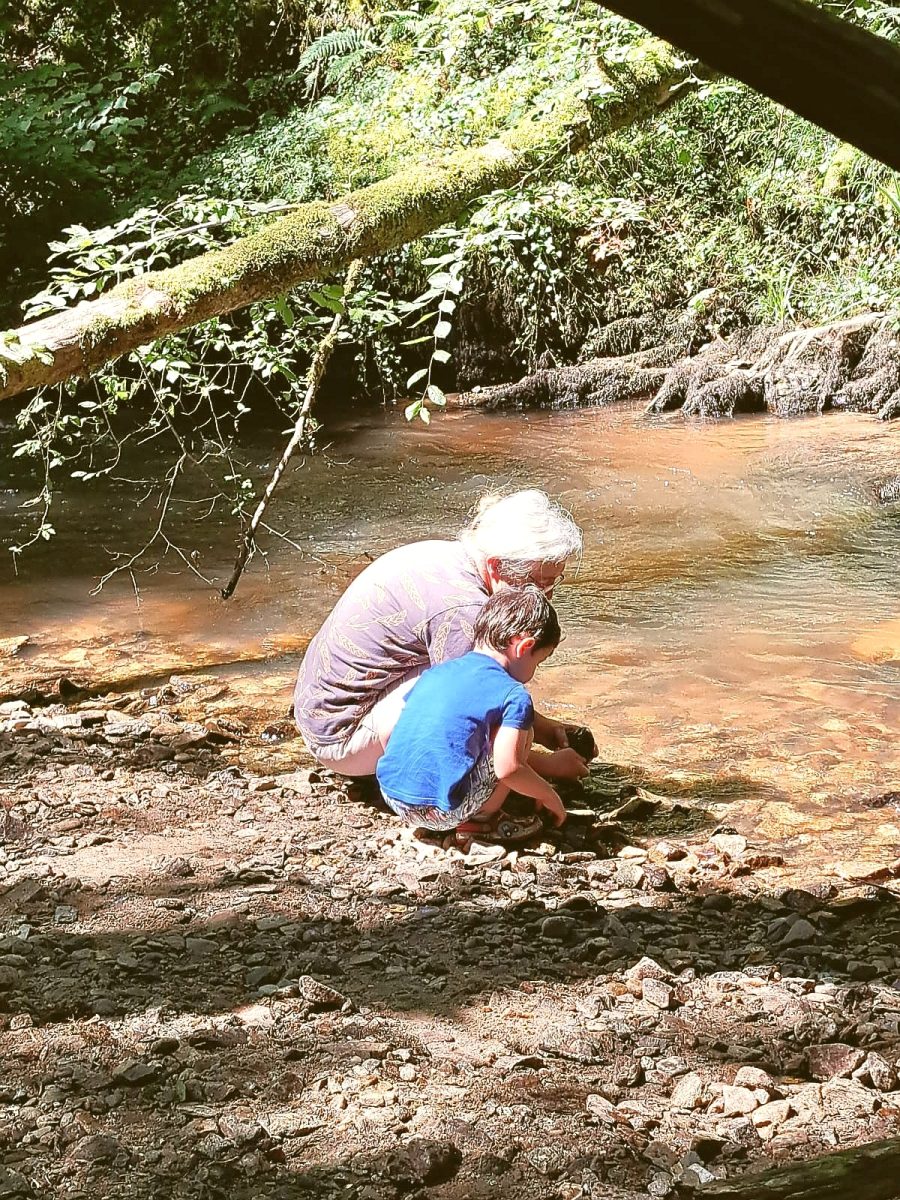 Atelier-découverte "Le petite peuple des herbes" au Lac de Feyt