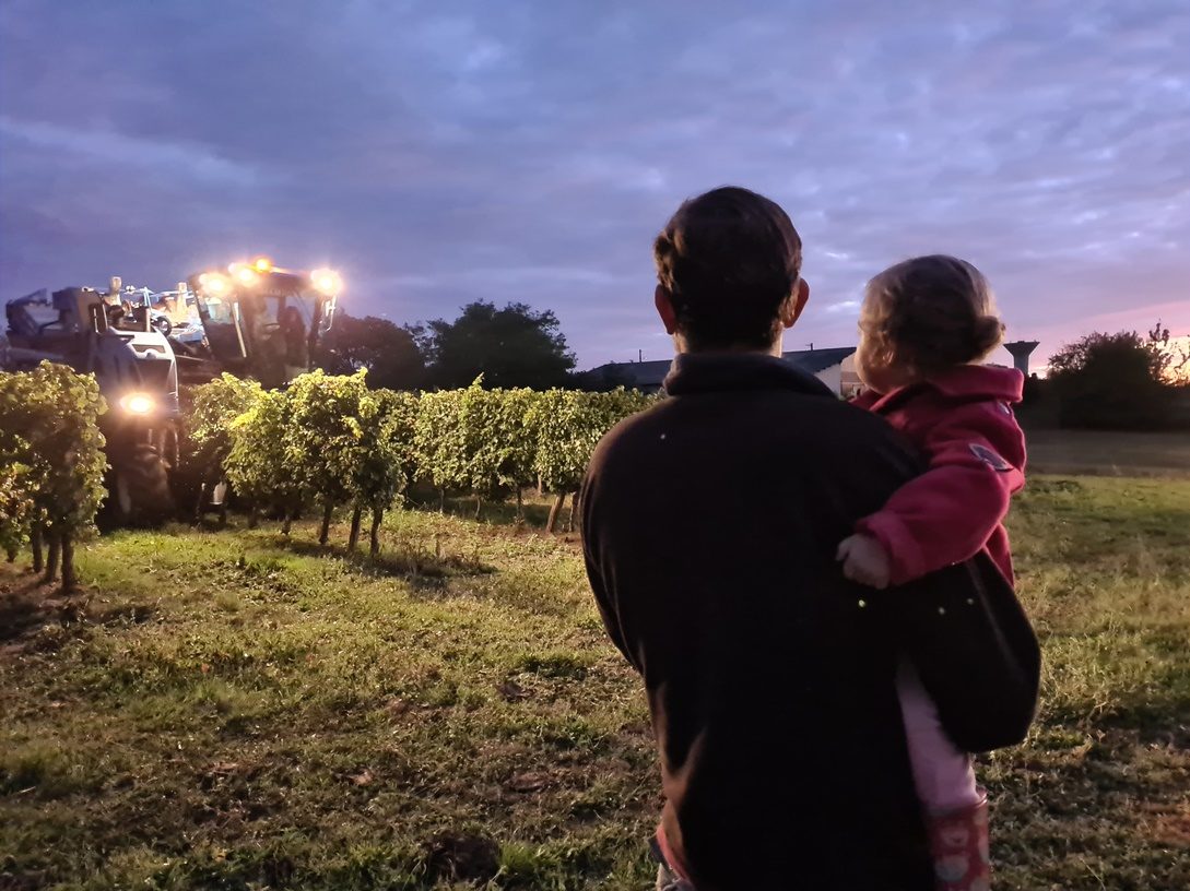 Domaine du Petit Loubès