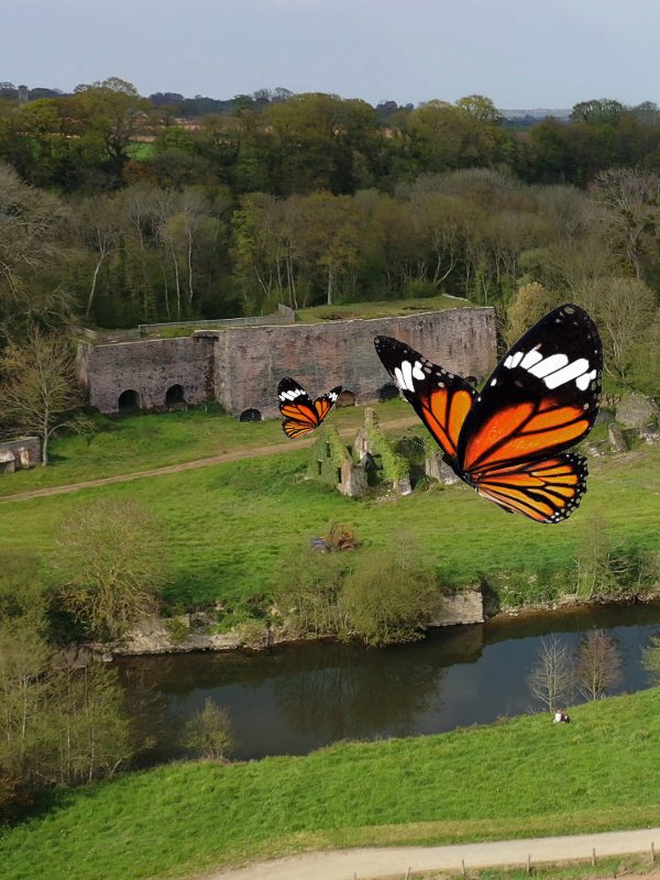Papillon et Cie