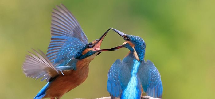Journée immersive en famille : La rentrèe nature