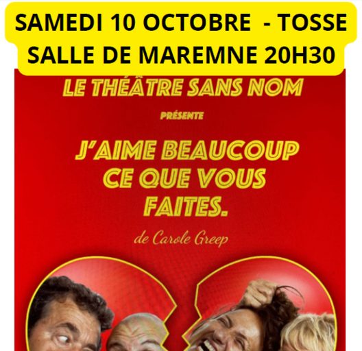 Théâtre "J'aime beaucoup ce que vous faites"