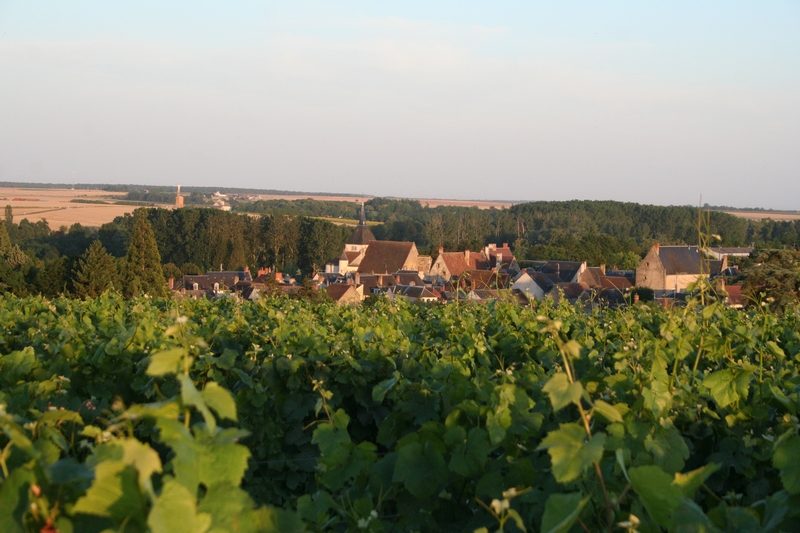 Domaine Daniel
