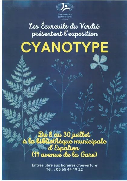 Exposition Cyanotype