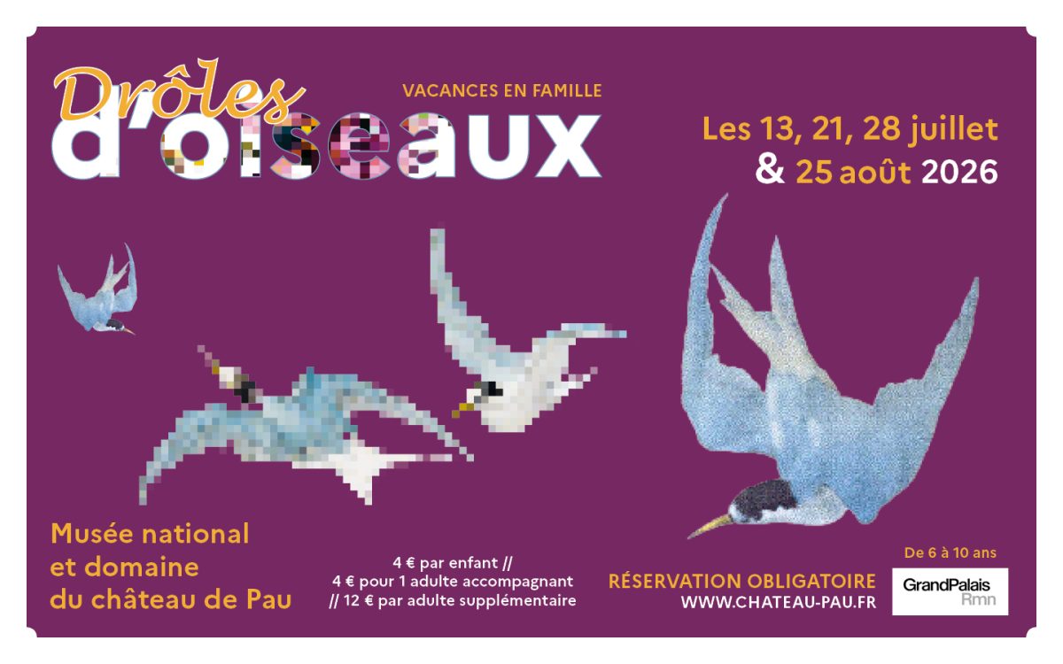 Drôles d'oiseaux