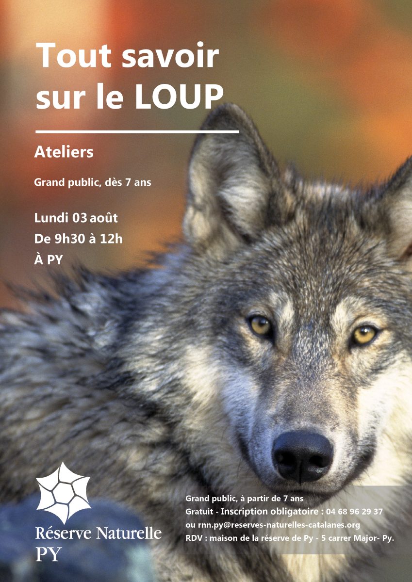 FESTIVAL NATURE : TOUT SAVOIR SUR LE LOUP