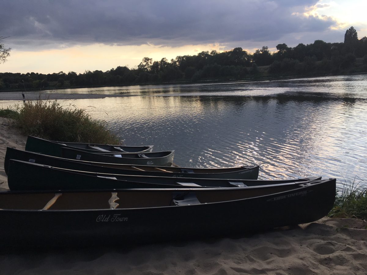 Balades découverte nature accompagnées autour de la Loire - Maison de la Loire
