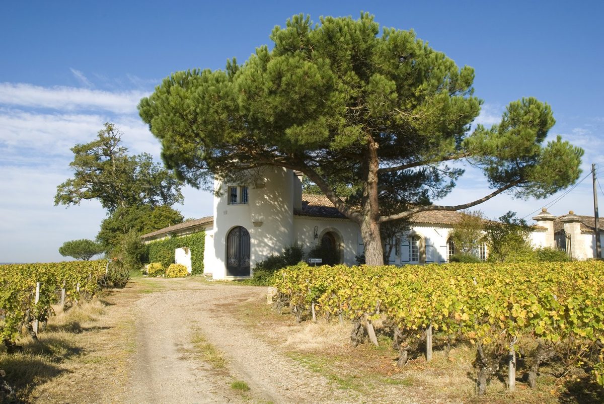 Château Lamothe Despujols