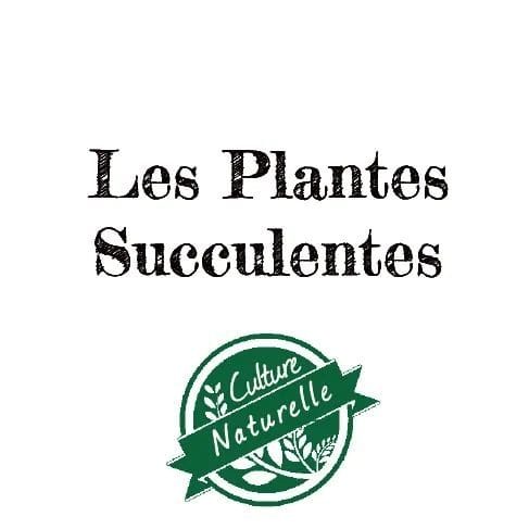 Les Plantes Succulentes