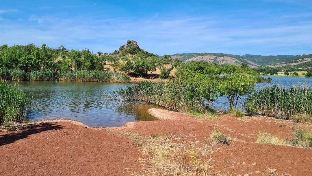 SALAGOU : RANDONNÉE SAUVAGE ET PITTORESQUE AU PIED DE LA SURE