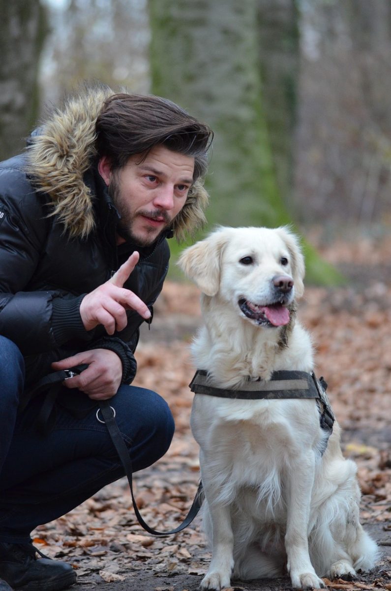 Promener son chien : Les clés pour comprendre les codes du quotidien.