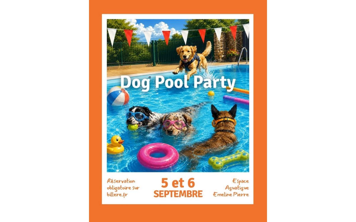 Dog Pool Party