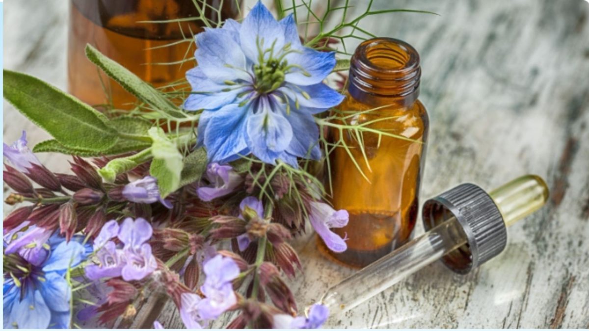 Atelier d'herboristerie : les plantes au féminin