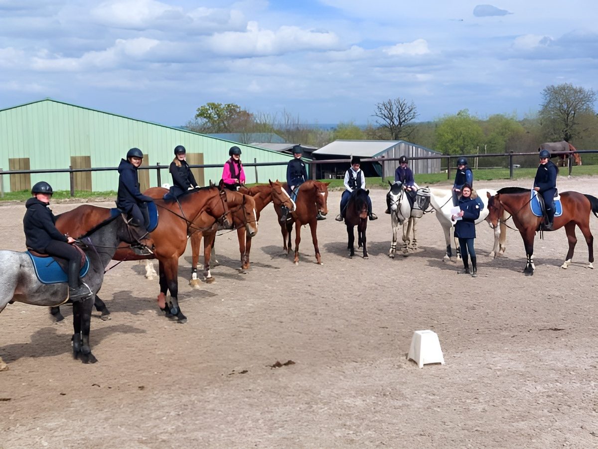 Balade, cours, stages à cheval et/ou poney