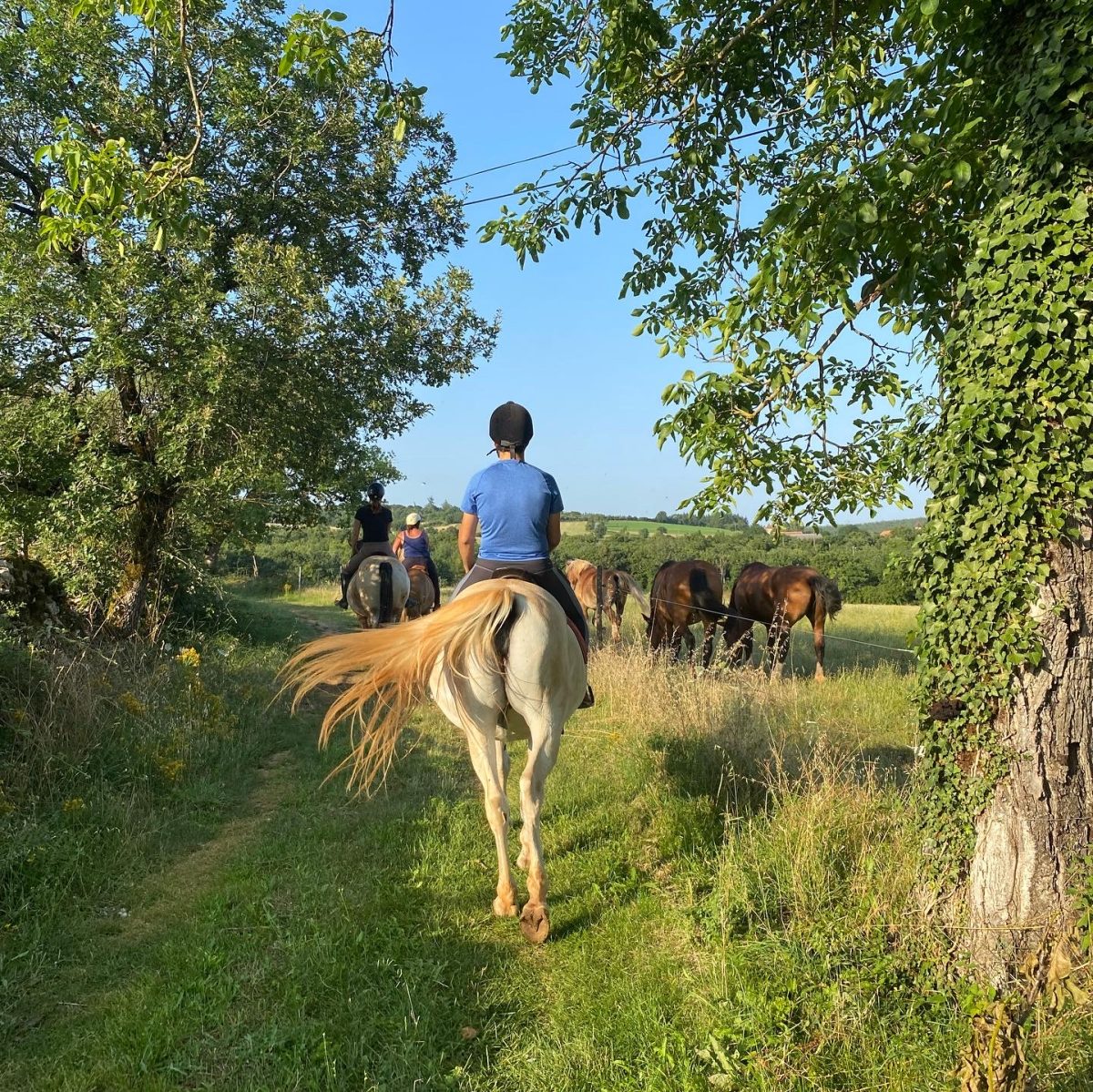 Domaine de Pradié