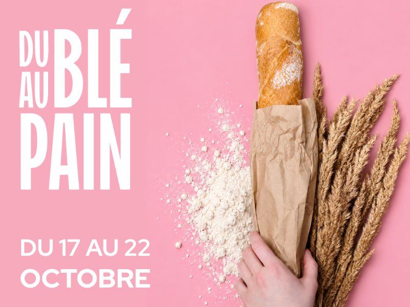 Evènement : La Beauce - Du blé au pain