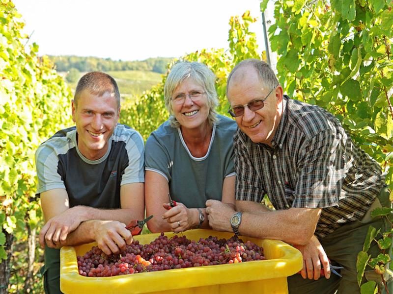 Vins d'Alsace - Earl Fritsch Joseph