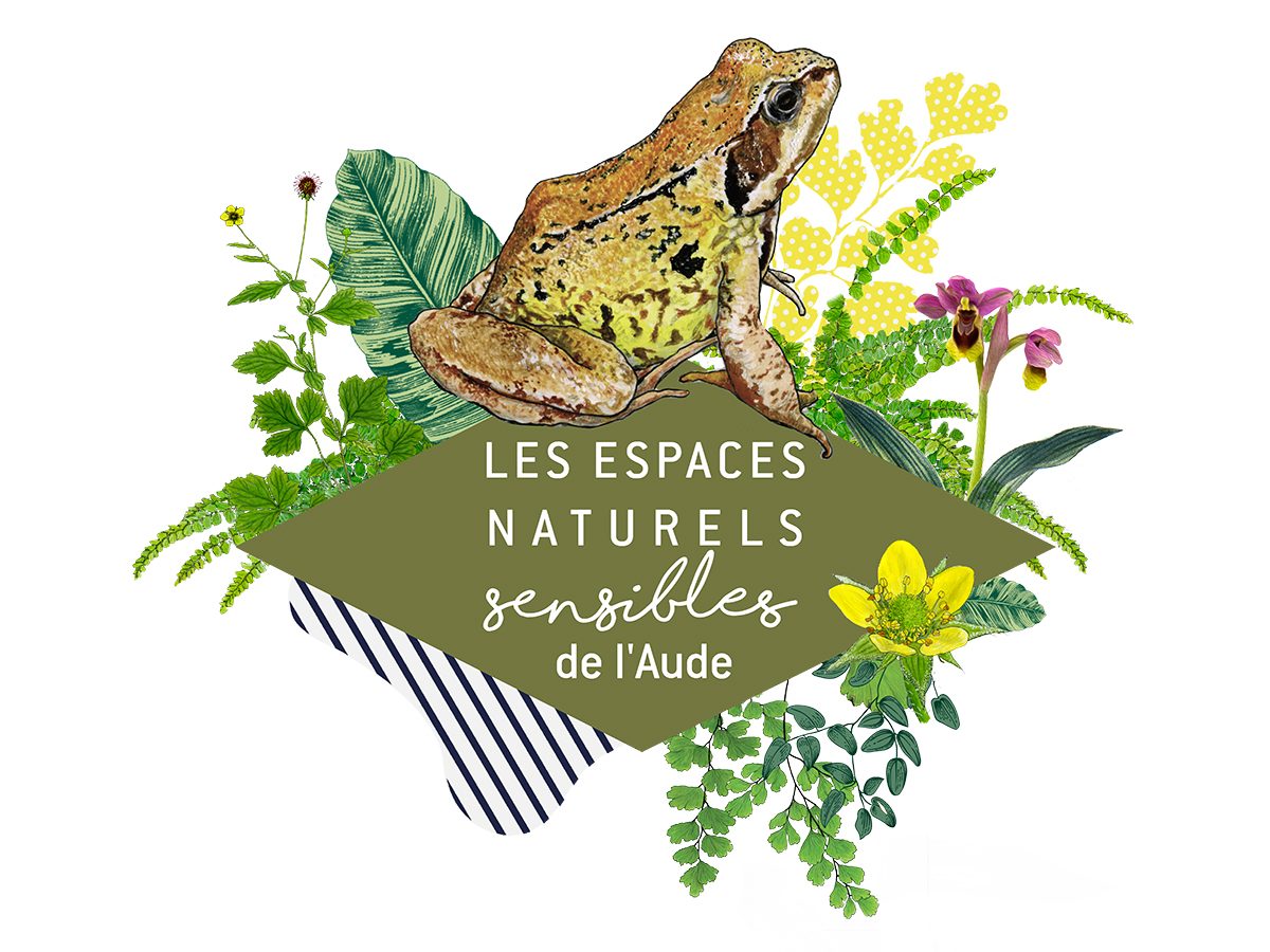 ENS - SUR LES TRACES DE L’EAU : PAYSAGES, PLANTES ET SAVEURS