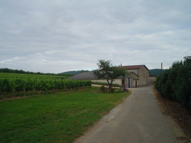 Domaine du Colombier / Château Trompette