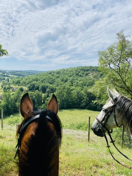 Equi Aventure