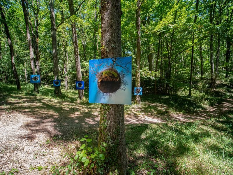 EXPOSITION EN FORÊT