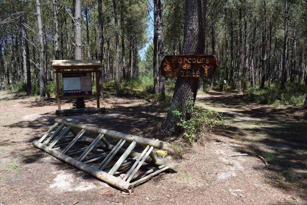 Parcours de santé en forêt