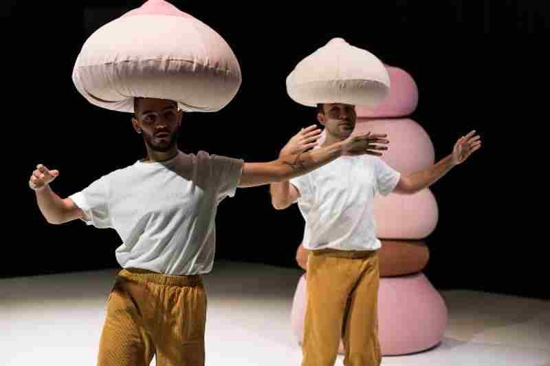 Spectacle : Le petit B