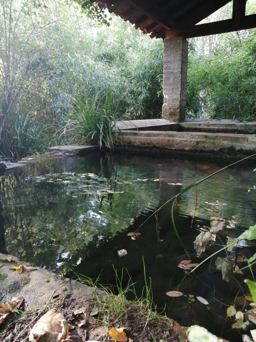 LAVOIR