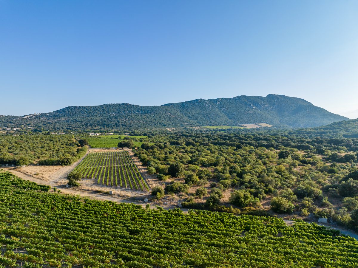 Clos des Reboussiers