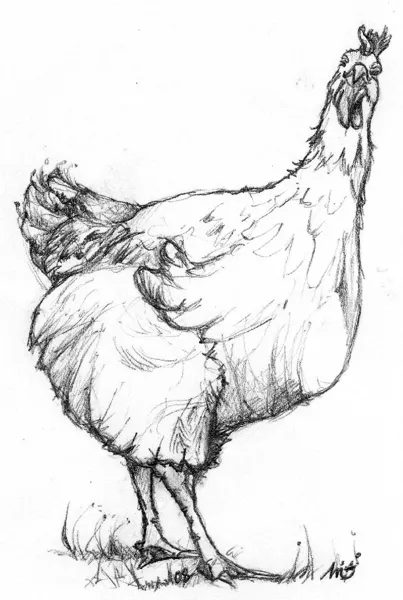 La ferme de Fontinelle