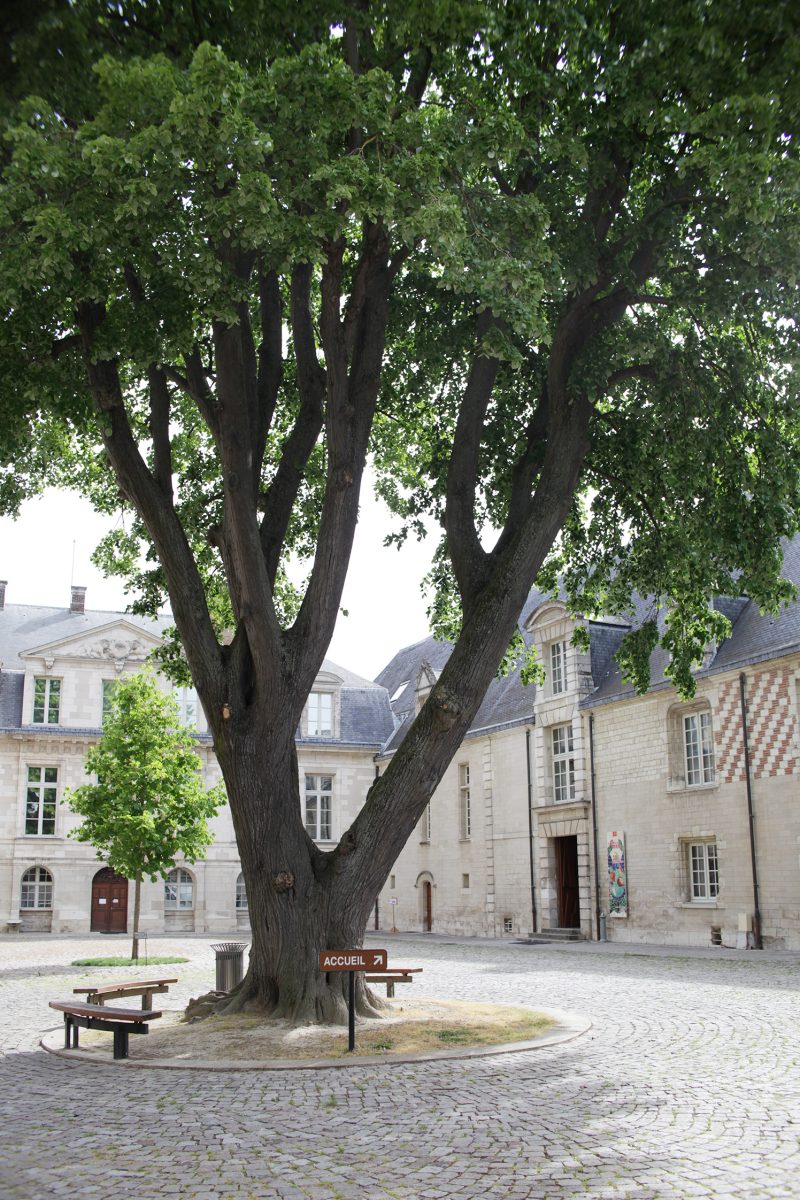 Musée d'Art moderne - Collections nationales Pierre et Denise Lévy - JEP 2026