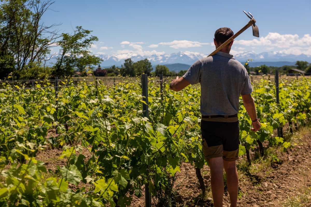 DOMAINE DE CADEILLAC