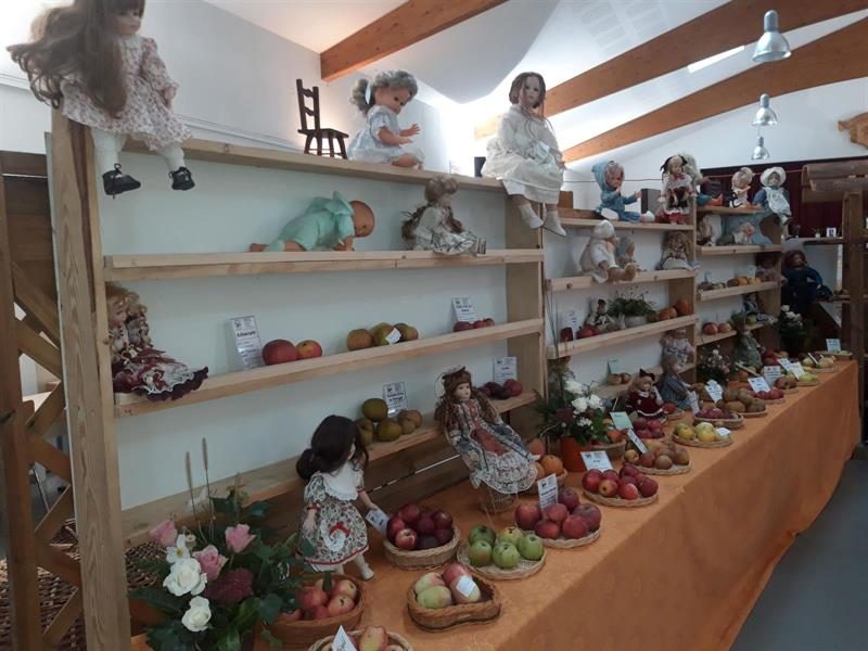 Exposition Fruitière