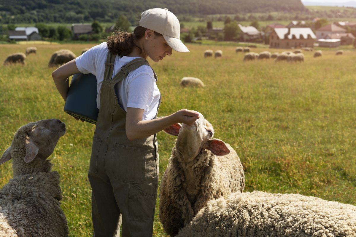 LA FERME AUX PETITS BONHEURS