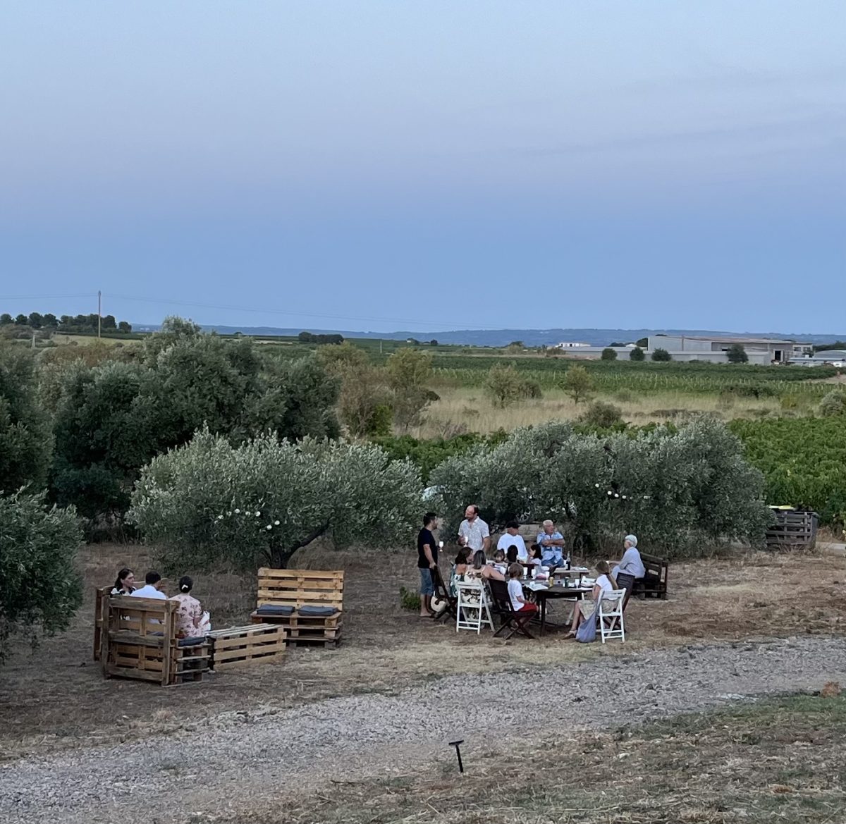SUNSET PARTY