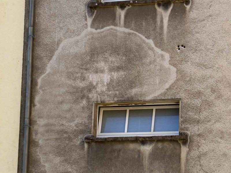 Le visage mystérieux