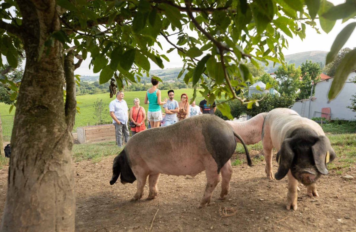 Ferme Agerria