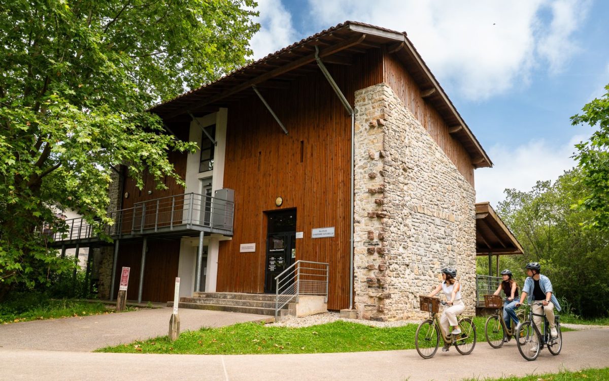 Muséum d'histoire naturelle