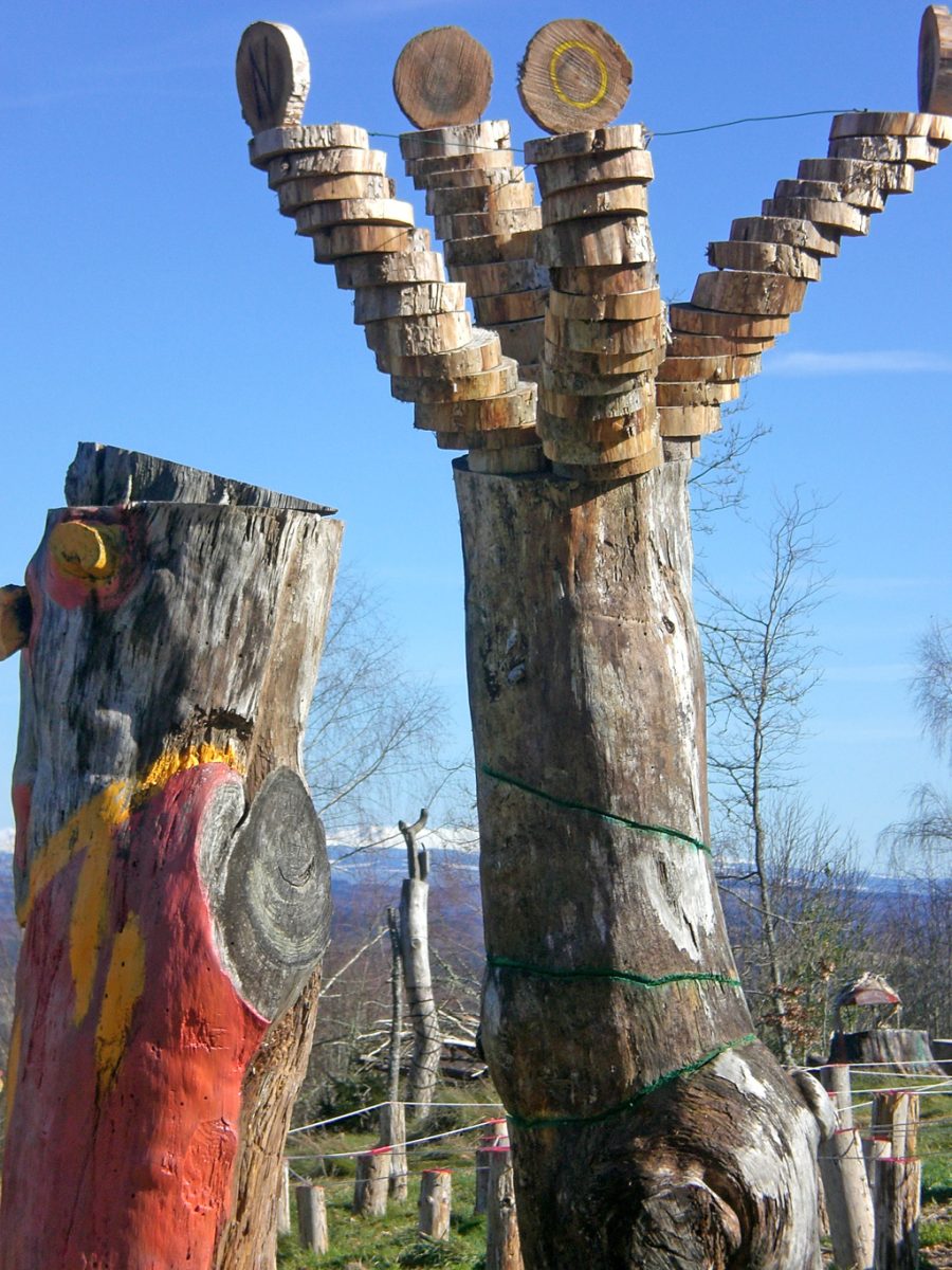 Les arbres redressés