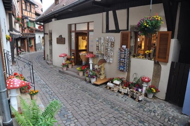 La Boutique du Champignon