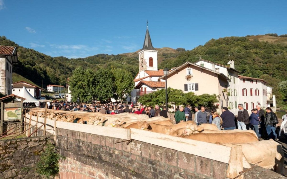Portes ouvertes de la Vallée des Aldudes